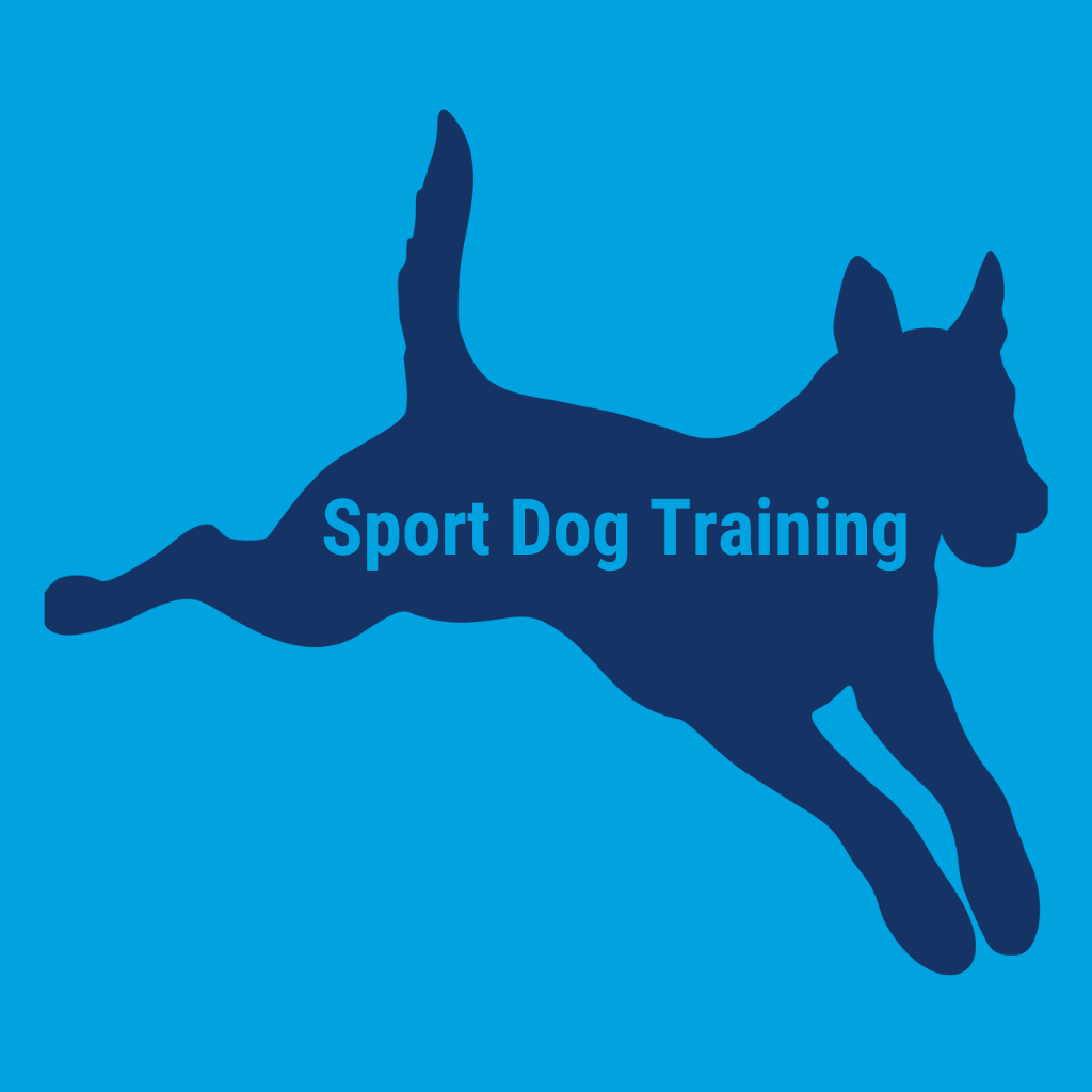 Sport Dog Training Lessons