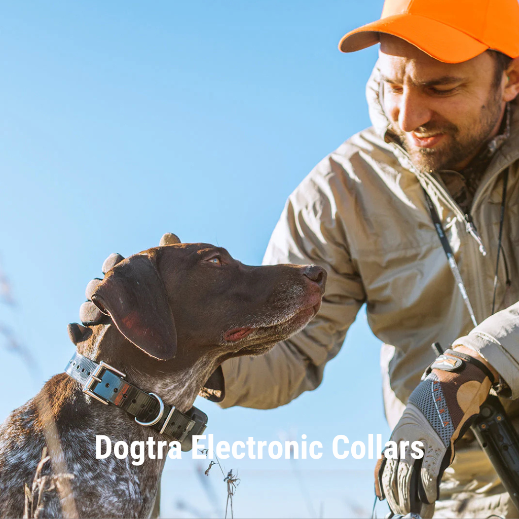 Dogtra prongs clearance