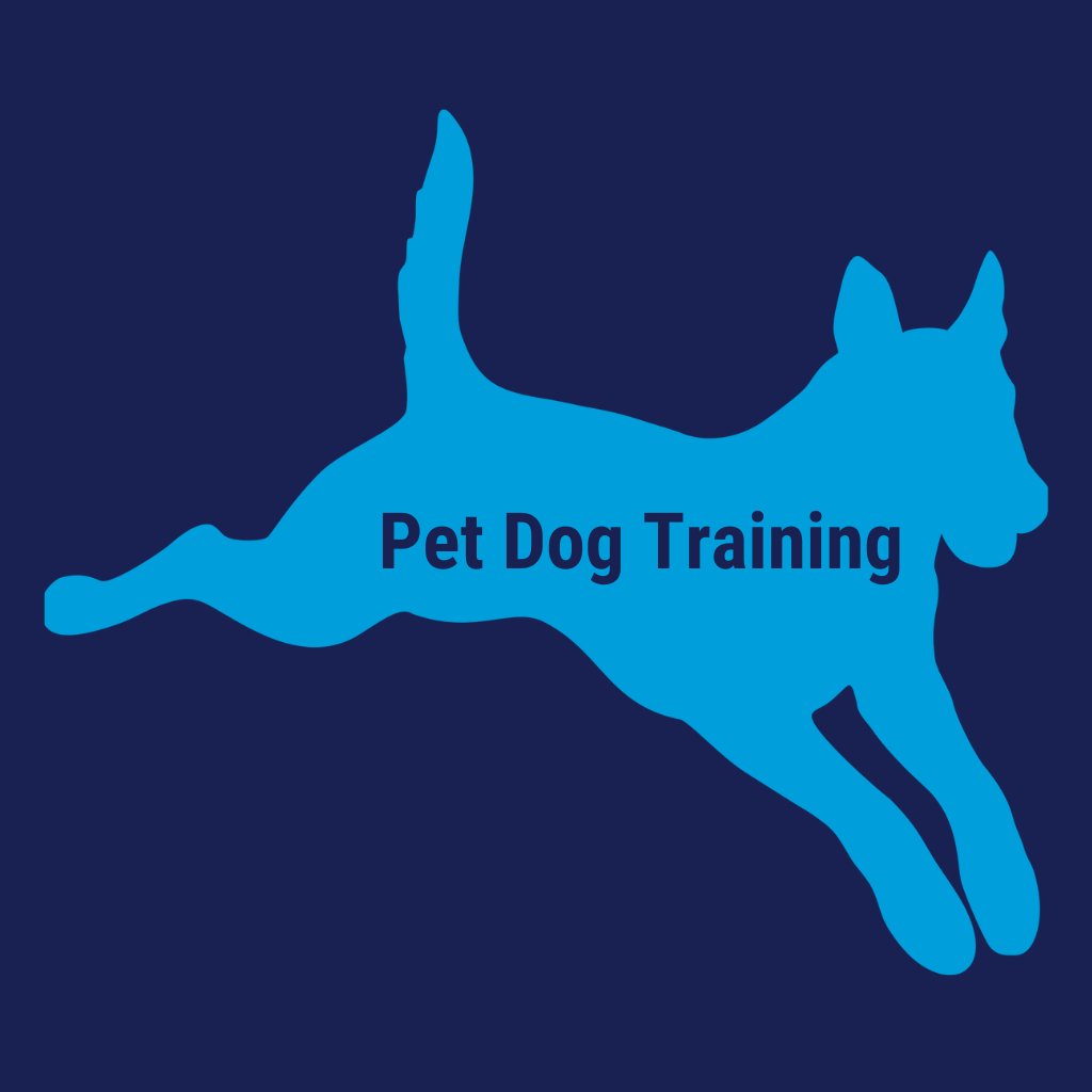 Pet Dog Training Lessons