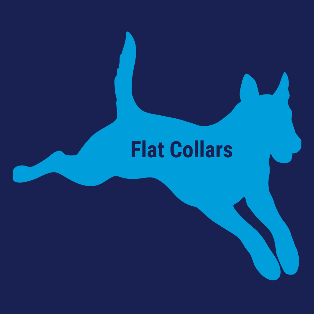Flat Collars