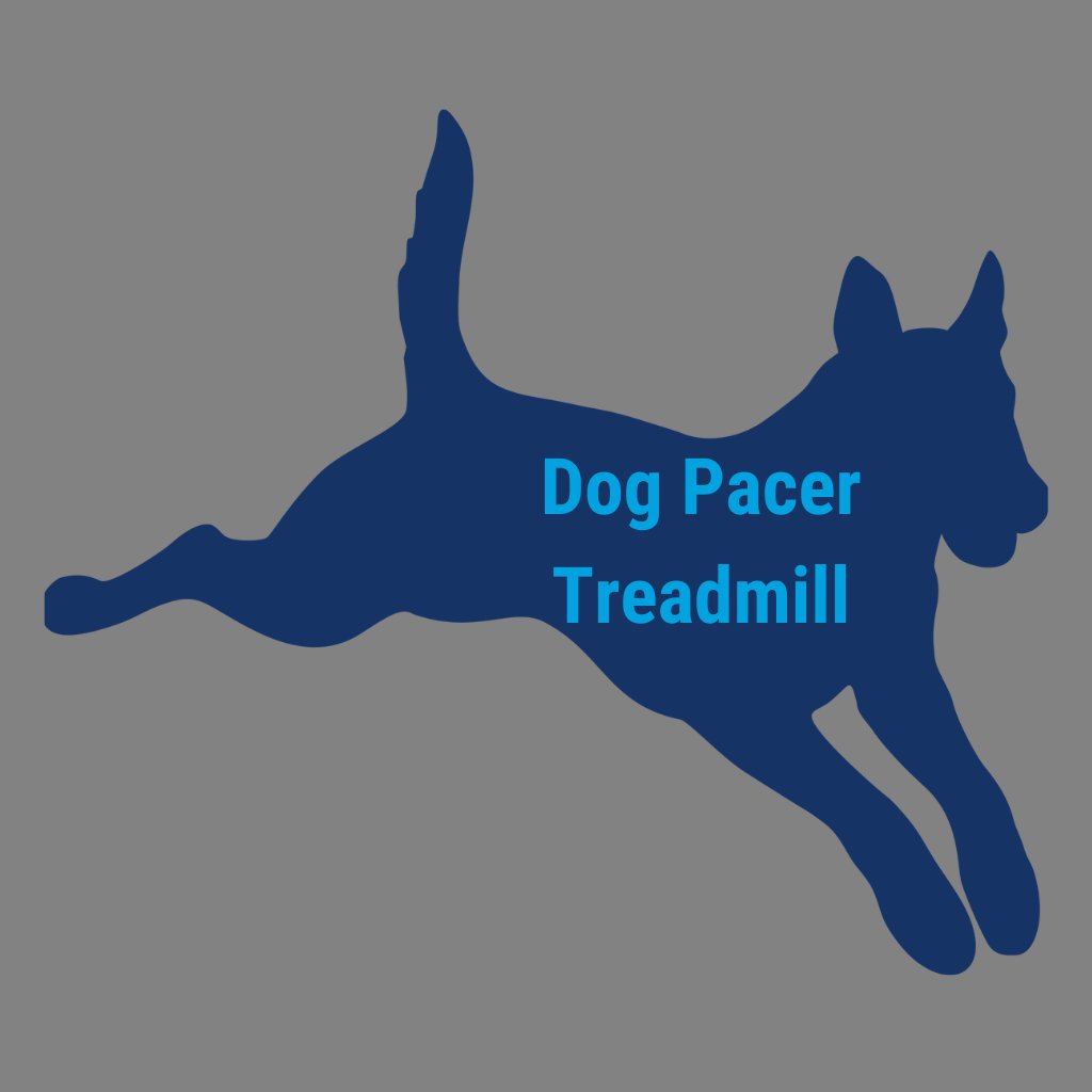 Dog Pacer Treadmill