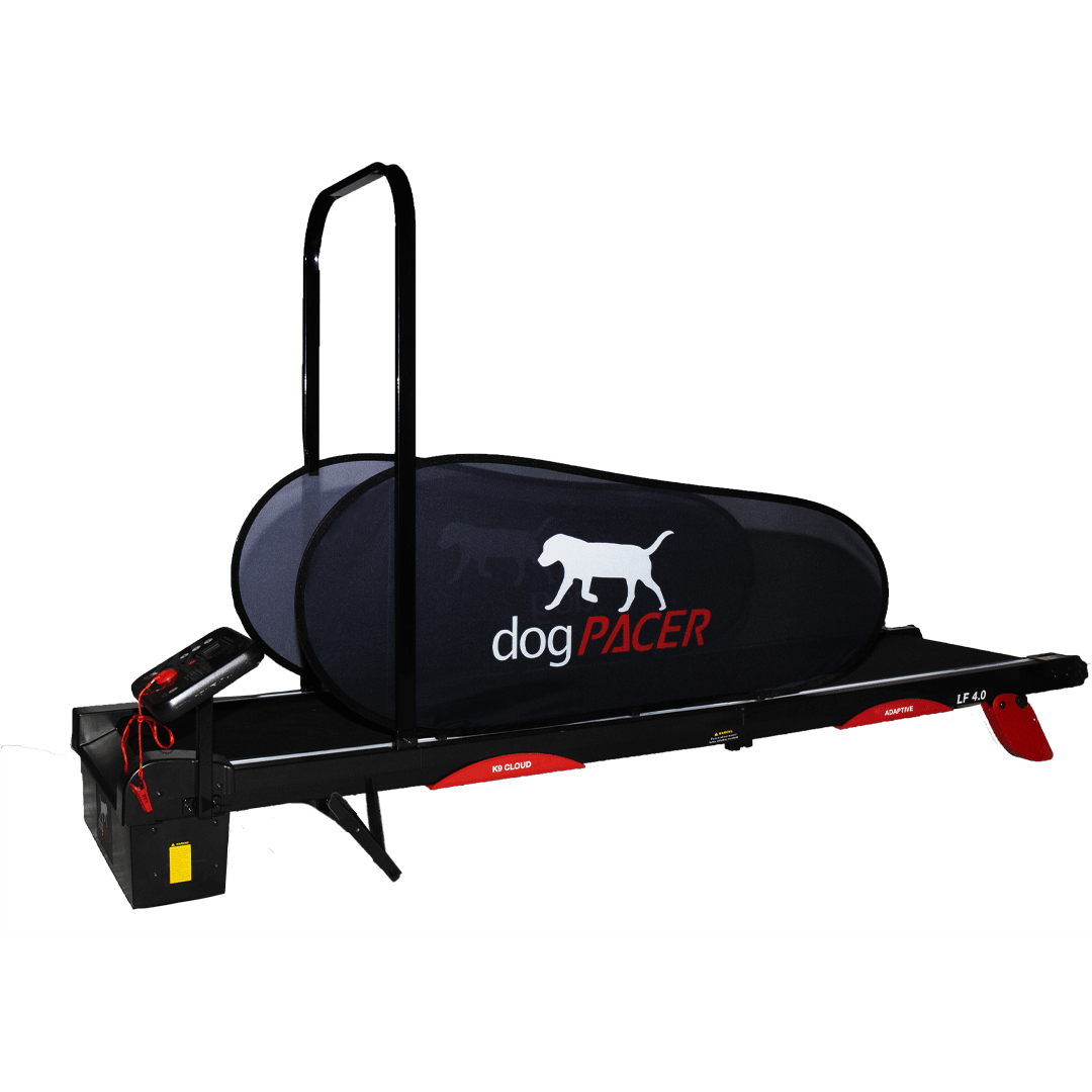 Dog Pacer Treadmill Ruffdog Sports