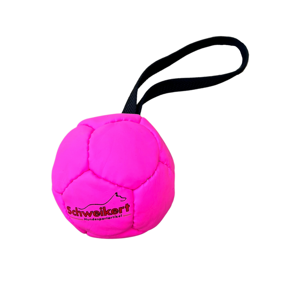 Kong Extreme Dog Toy – DogSport Gear Canada