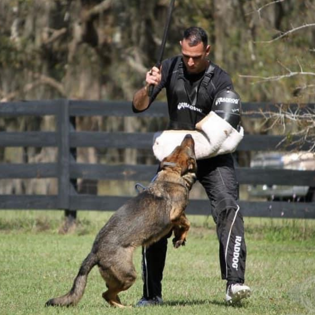 Ruffdog Sports Top Sport Dog Gear & Products for Dogs & Trainers