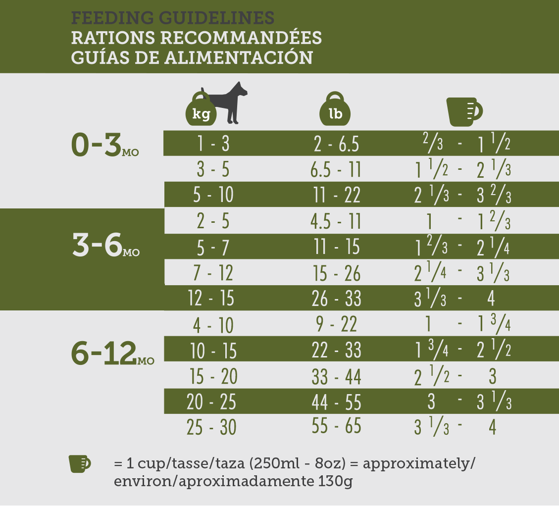 Inukshuk food online