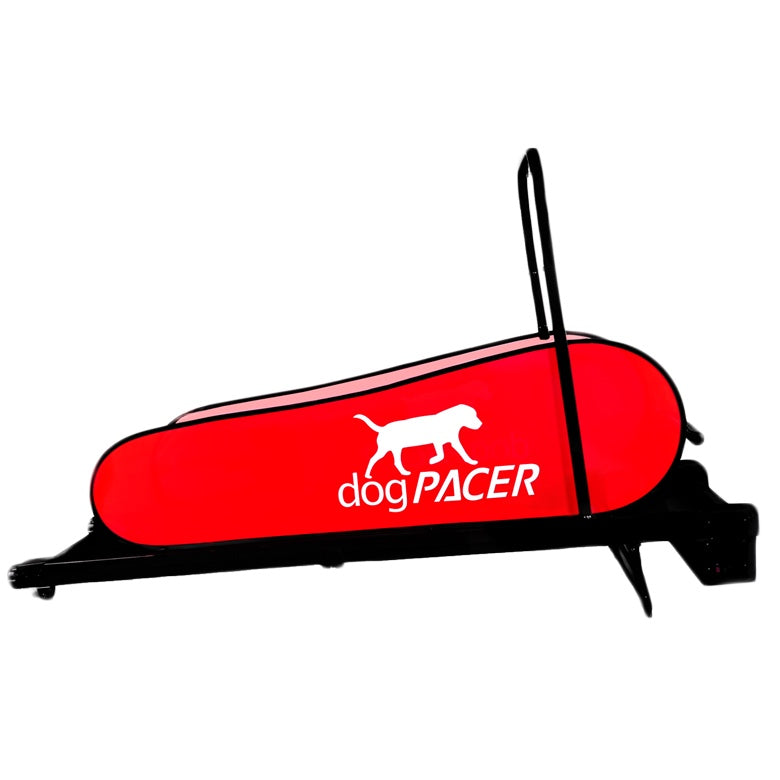 Dog Pacer Treadmill -3.1